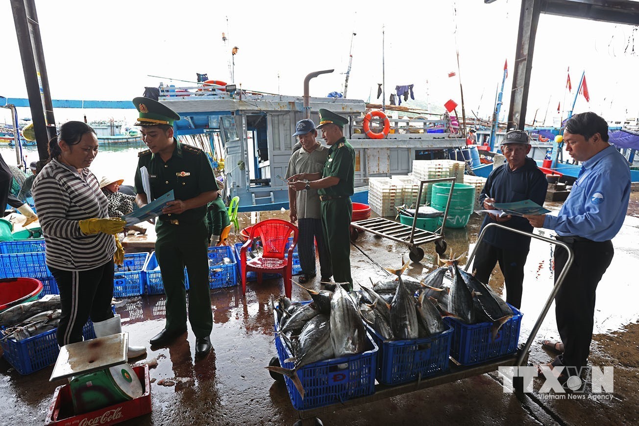Bộ đội Biên phòng phối hợp với các lực lượng chức năng tổ chức tuyên truyền đến ngư dân tại cảng Hòn Rớ ở phường Nam Nha Trang, tỉnh Khánh Hoà. (Ảnh: Vũ Sinh/TTXVN)